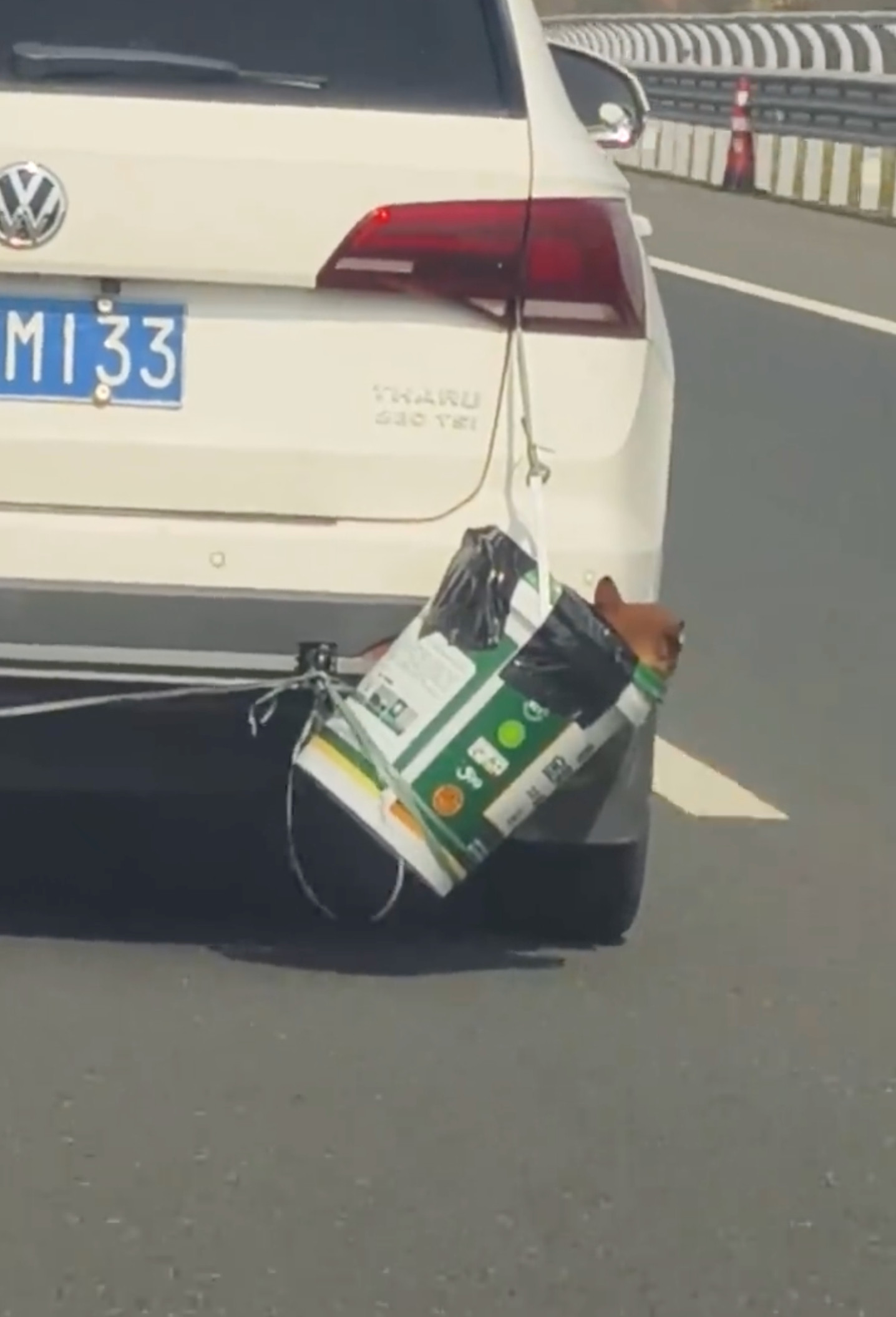 不愧是春运第一批回家的狗子这待遇堪比涡轮增鸭在中国人的眼里，回家过年一个都不能少