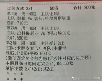 卡萨皮亚主场曾逼平豪门，此番再战本菲卡能否再次守住主场抢下分数？主客：赫根vs哈