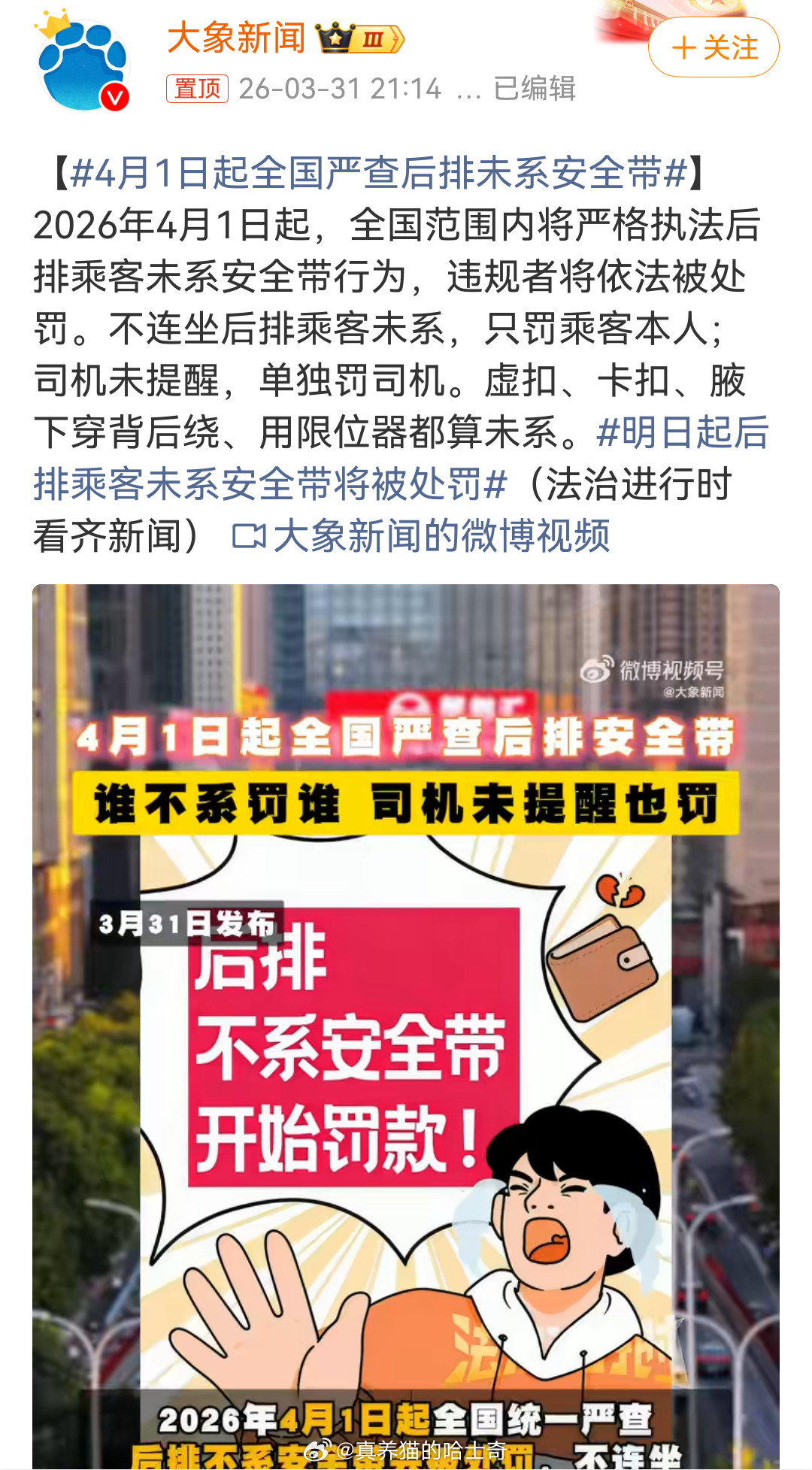 4月1日起全国严查后排未系安全带支持！！全国查违章最严的应该是上海和深圳吧？建