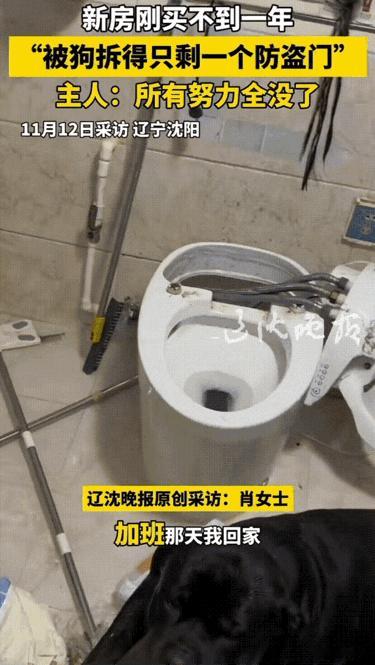 真被气笑了！黑龙江一位女子加班晚归，一开门就觉得不对劲——往常早就凑到门口摇尾巴