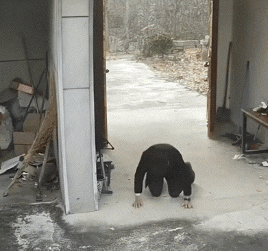 江苏徐州一80后男子，因双亲相继离世（父亲三年前去世，母亲重病在养老院），最近一