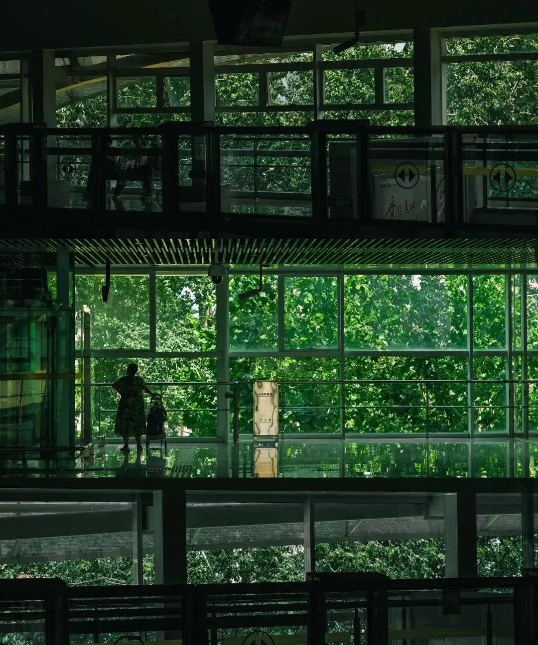 足球城郑州绿化太好了，像一座绿色雨林城市，有种东南亚马来西亚槟城或吉隆坡的感觉