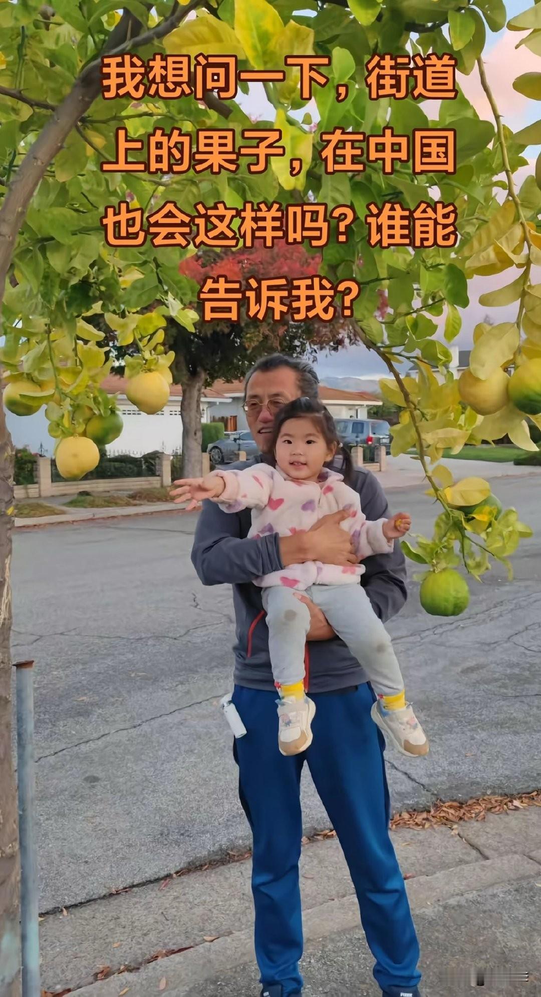 土殖，最大的特点就是土！见识少！[抠鼻]土殖最大的问题是土