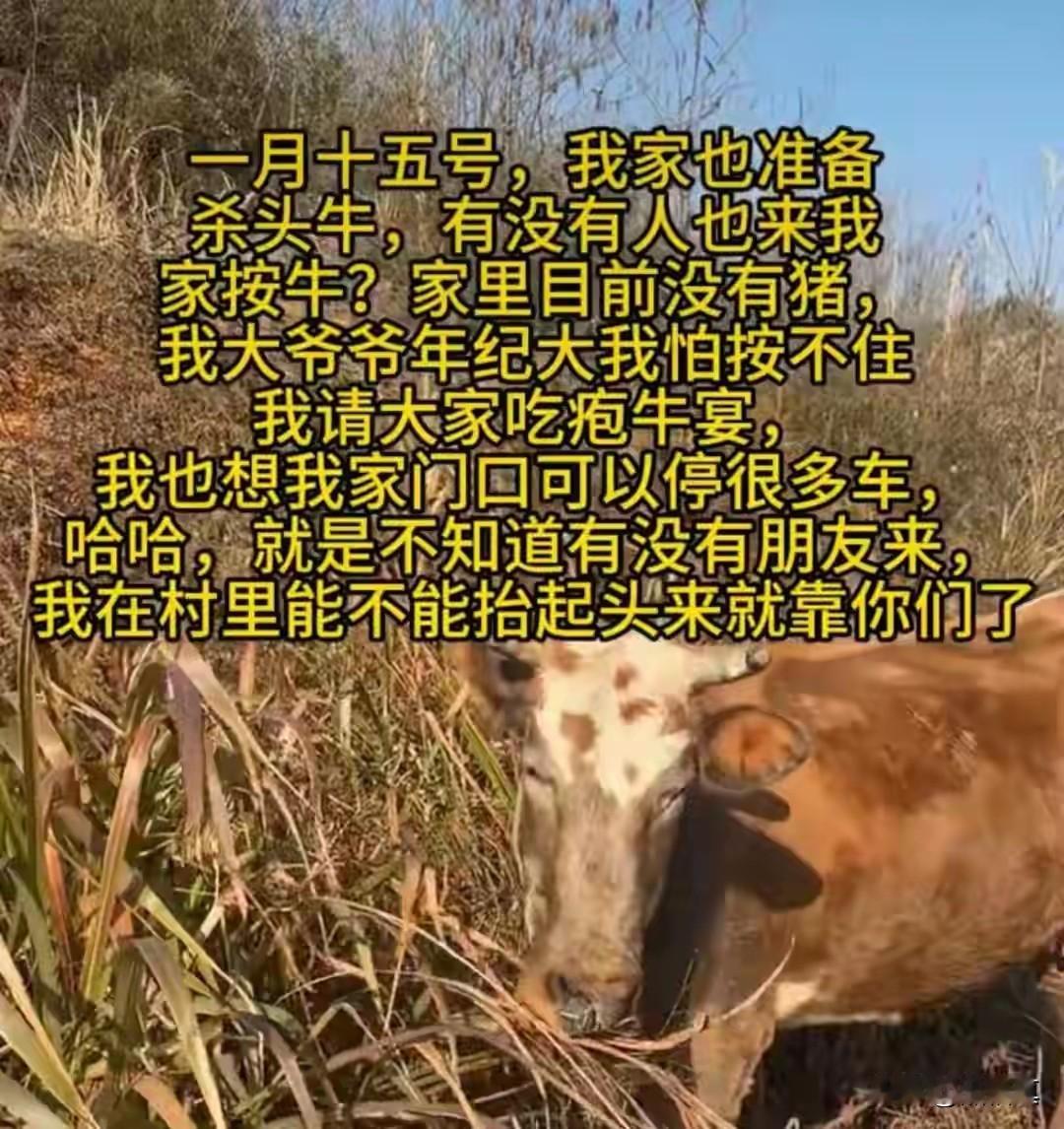 刨牛宴登场！全国办“刨猪汤”此起彼伏，战斗正酣时，岳阳临湘的娜娜，别出心裁