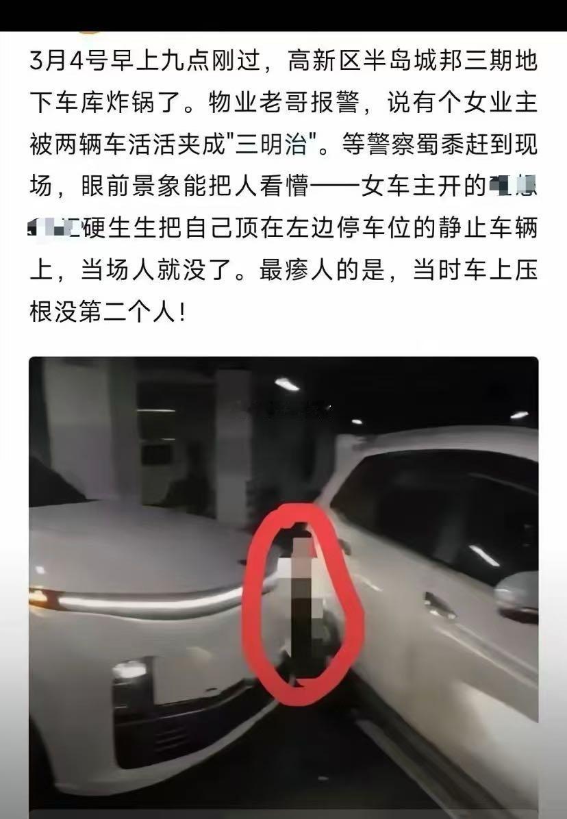 差点没看明白，这是车主用自动泊车功能把自己给撞了？？​​​