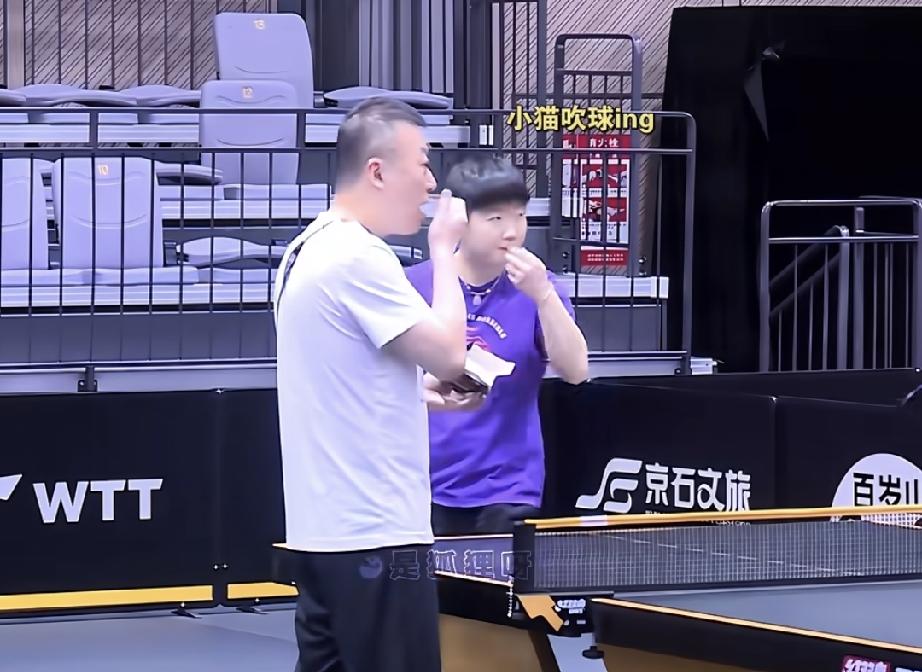 原来乒乓球运动员都有这个习惯。训练场，马琳拿着一盒球，倒在球台上，莎莎弯腰拿起