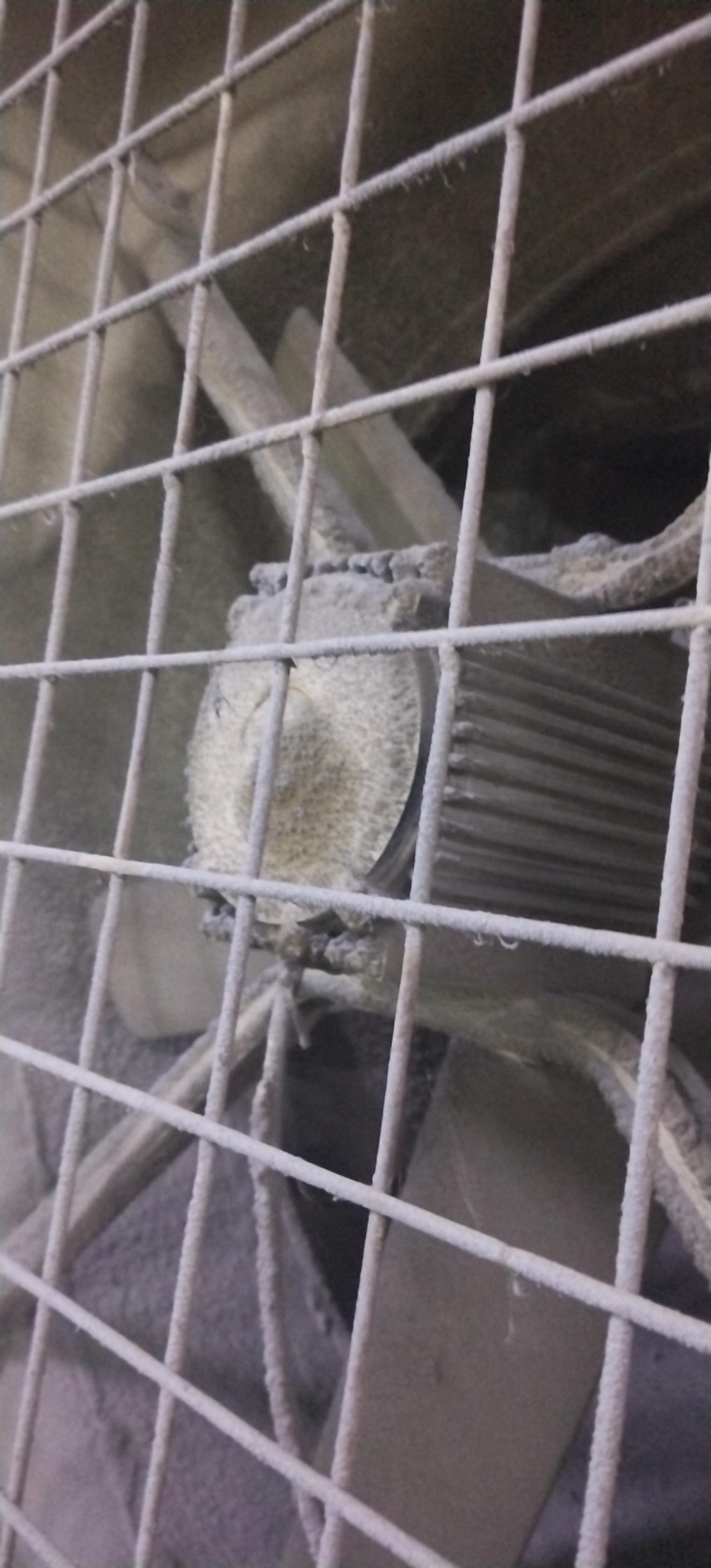 厂里6000元一月的设备保养员辞工走了，辞工原因就是嫌弃工资低，多次找老板加工资