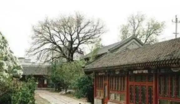 1959年，彭老总从庐山下来后，就搬去了吴家花园居住，在这里居住的五年时间里，他