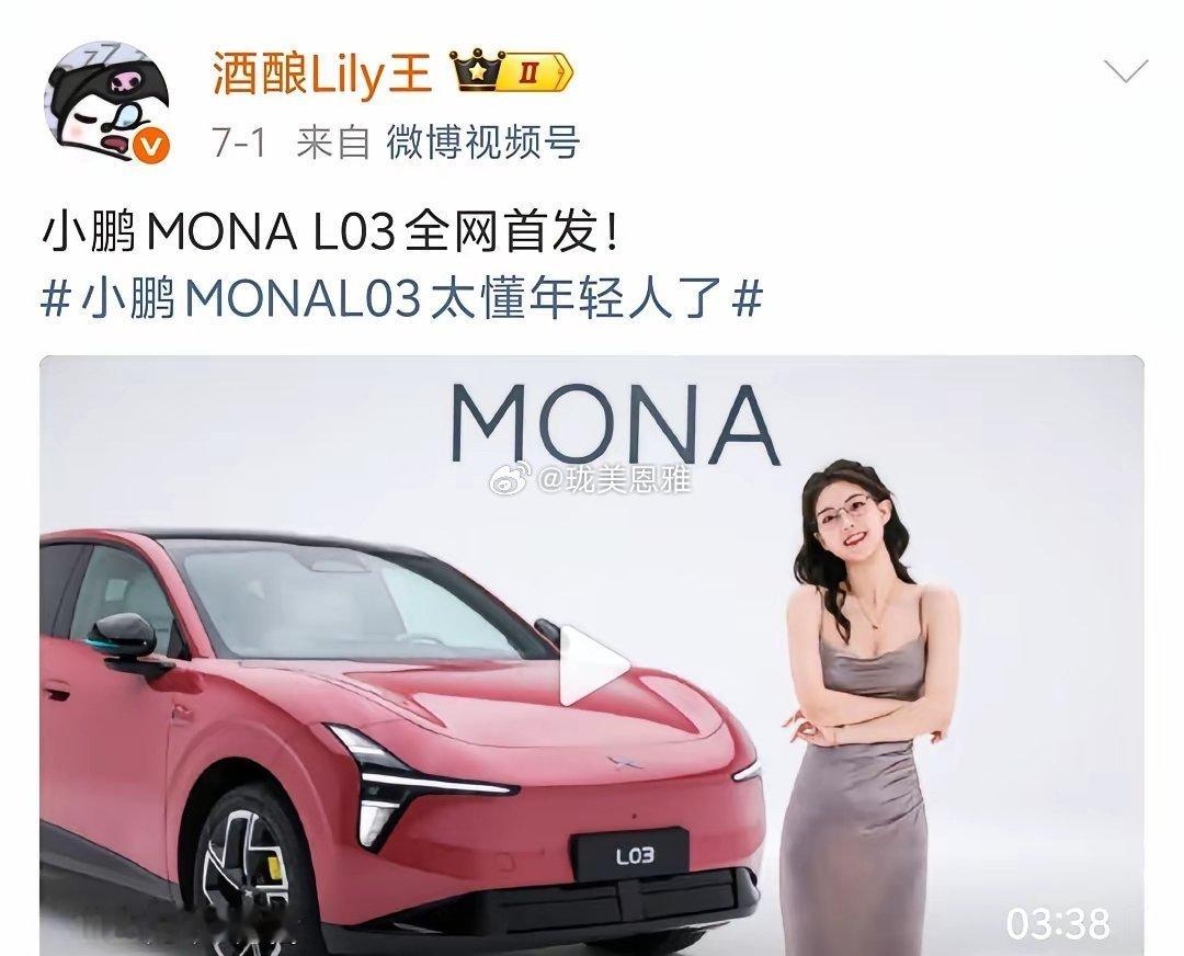 擦边网红博主“酒酿Lily王”进军车评赛道简直就是降维打击！