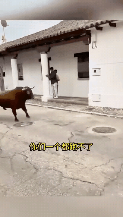 牛大哥：汝安敢藐视我？😡