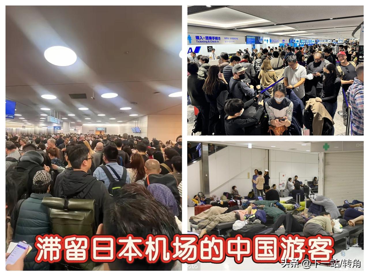 “我们是中国人，国家必须派包机接我们回家！”这一心声又刷屏了！近日滞留在