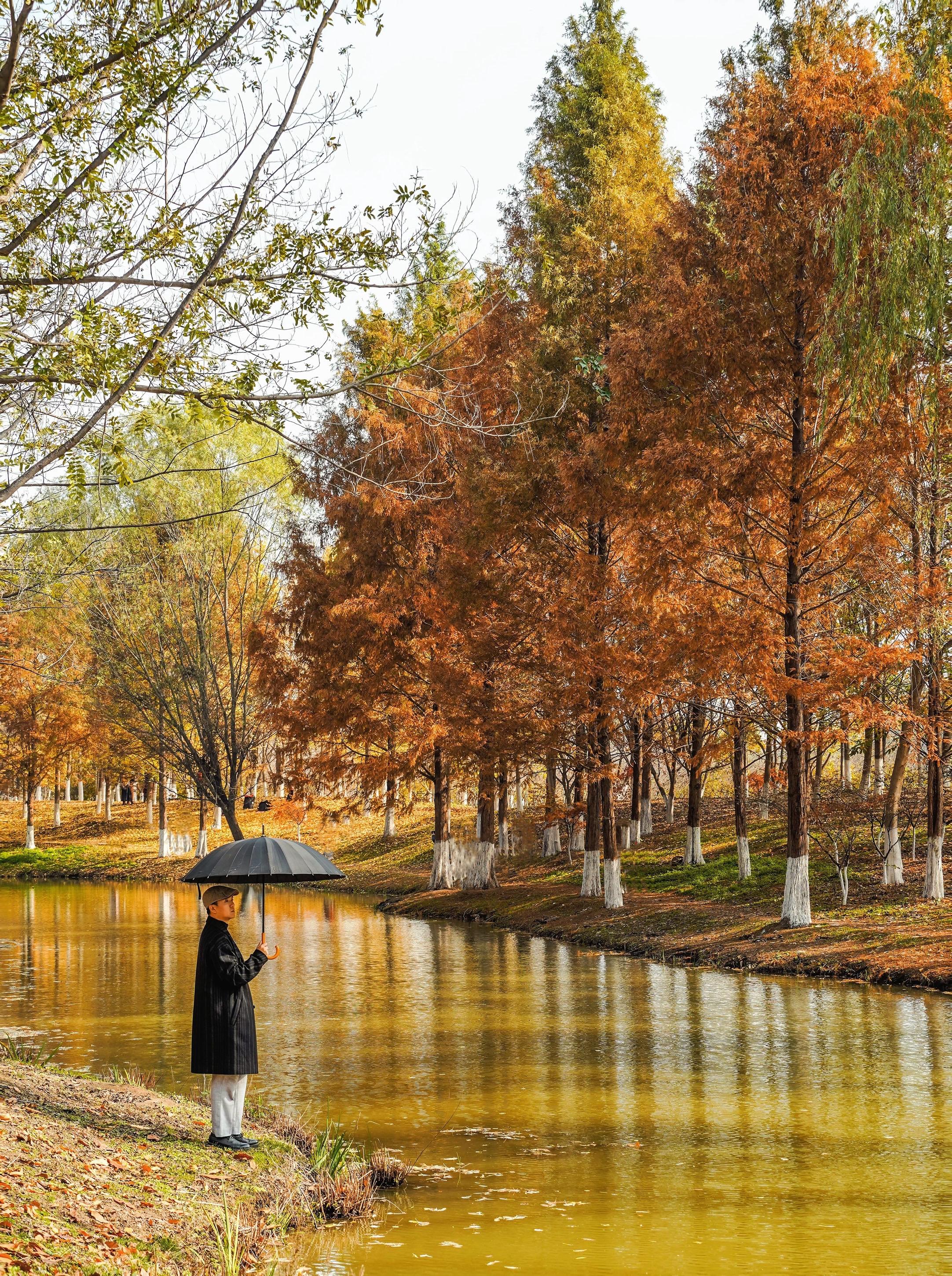 西安秋日调色盘🍂小众人少景美❗️。西安的秋色愈加浓厚 基本该红该黄的...