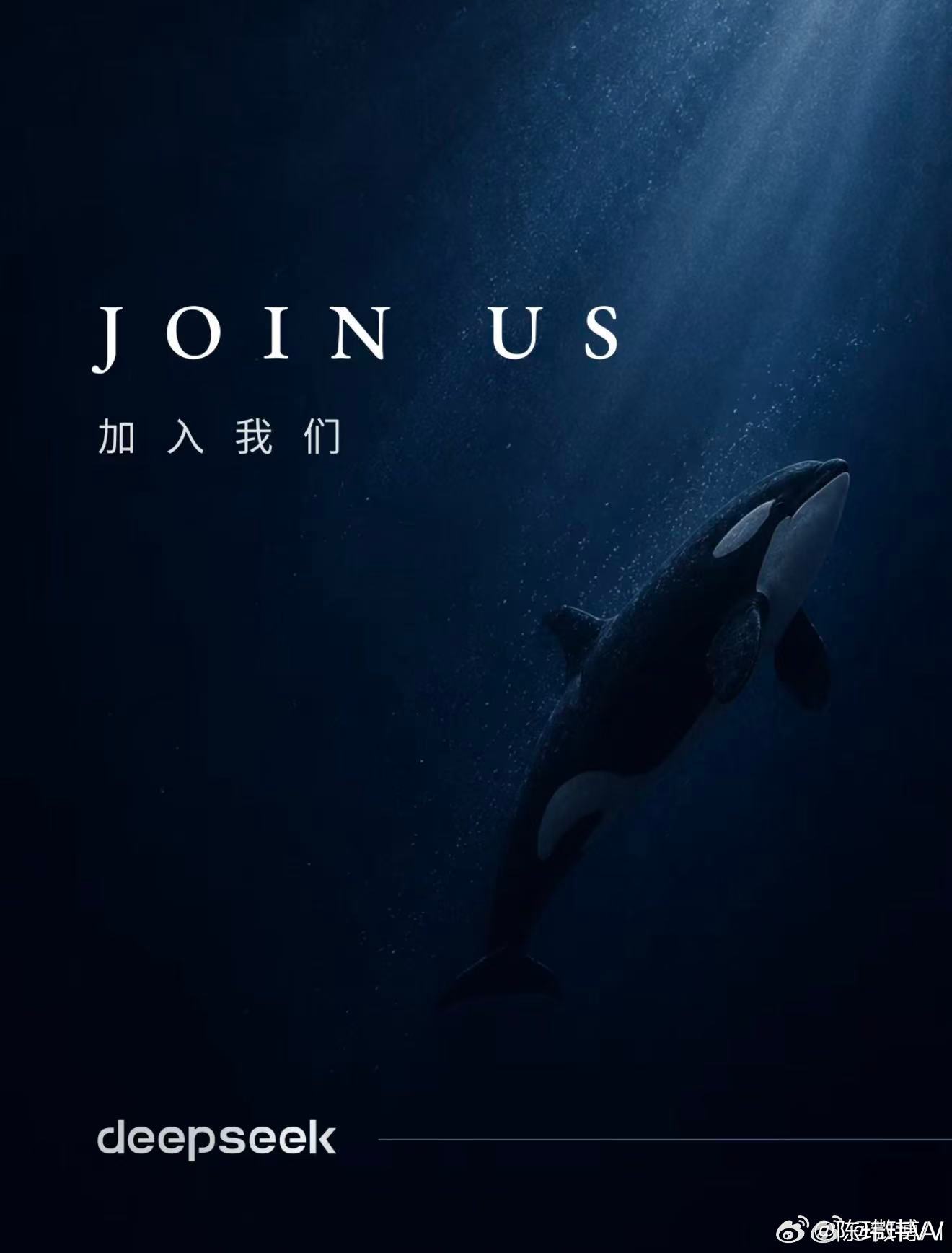 deepseek为何大规模招人这明显释放了一个信号吖～要变成一家“做产品”的公