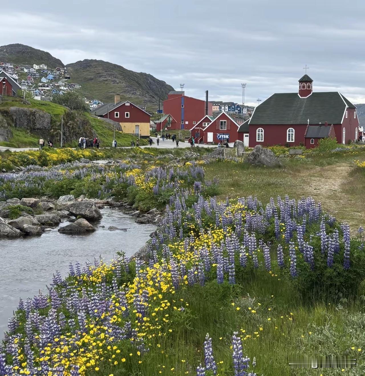 格陵兰岛有花、有草有树木，还有高楼，就是树长不高，高的也比灌木高不多少，照片儿是