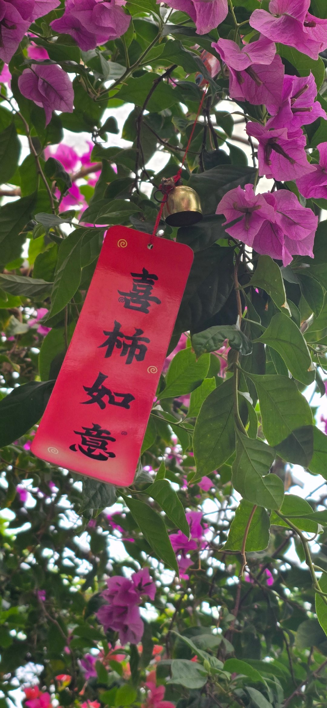 吉隆口岸的新闻也少了，另一个重大事故又开刷屏…世界就是这样子，总是有各种不确定性，只是这几年的不确定