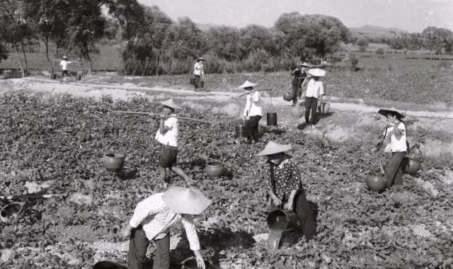 故事发生在1975年，位于我国湖北神农架，几个农村妇女在忙农活。其中一个妇女因为