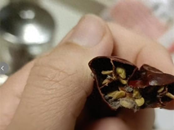 “太吓人了！”近日，湖北武汉，一女子在家整理年货时，意外翻出一袋去年春节前购买的