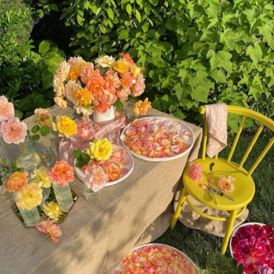 弘一法师说得很通透：“生病不是因为你做了缺德事，而是你做了太多对不起自己