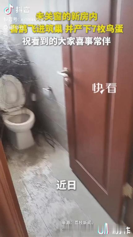 “喜福临门！”河南郑州，一位房主装修新房，为了通风，卫生间窗户一直留着缝没关紧，