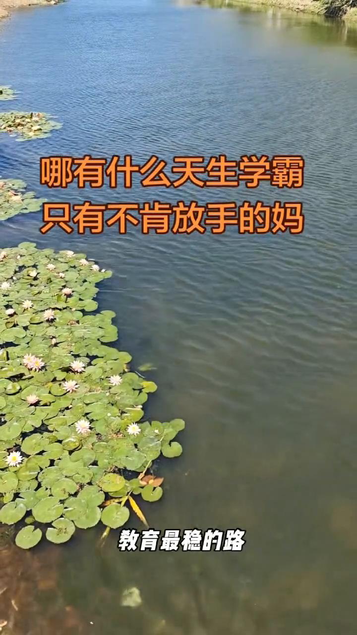 哪有什么天生学霸，只有不肯放手的妈妈。哪有什么天生学霸，只有不肯放手的妈妈。教