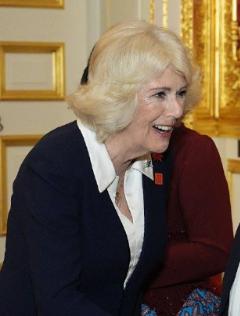 秃头王子多情后妈？威廉王子活成了父亲查尔斯三世的模样，背叛了自己的妻子。查尔斯