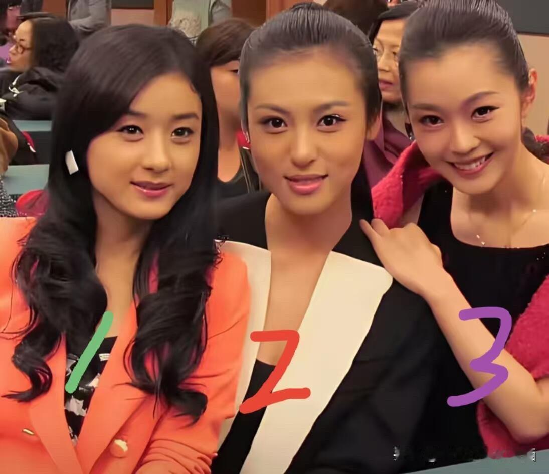 以前是欣赏不来宋轶的美，现在看她和其他女明星的合影，感觉她才是最有气质的一个，眼