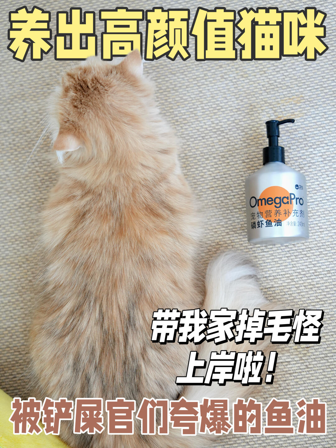 被铲屎官们夸爆的鱼油，带我家掉毛怪上岸