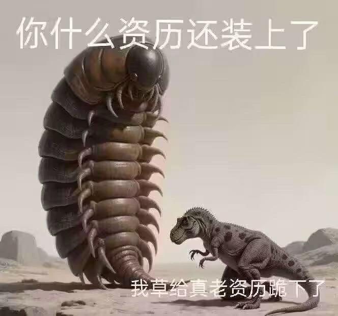 老资历好帅我好爱​​​