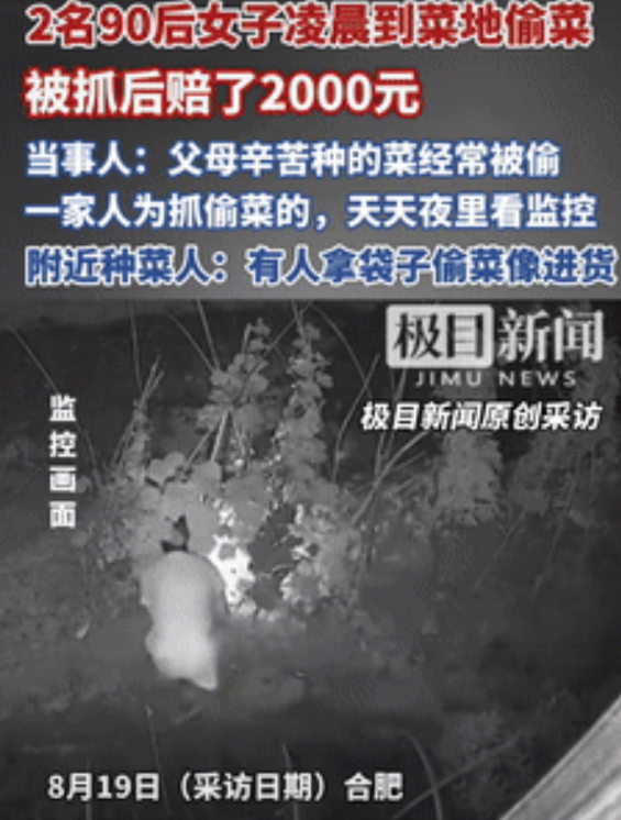 缺大德了！安徽合肥，一老夫妻种的菜经常被偷，无奈之下，只好往地里装监控，直到一天