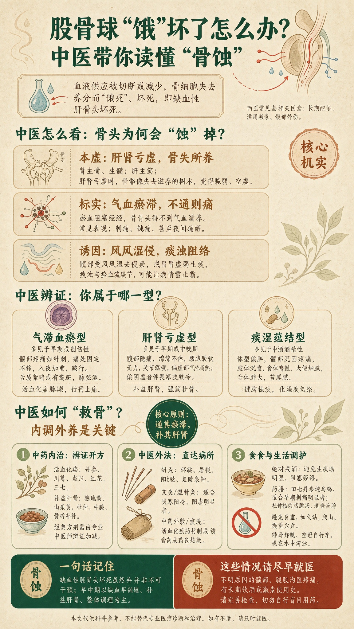 缺血性股骨头坏死是什么病股骨头“饿”坏了怎么办？中医带你读懂“骨蚀”在我们的髋关
