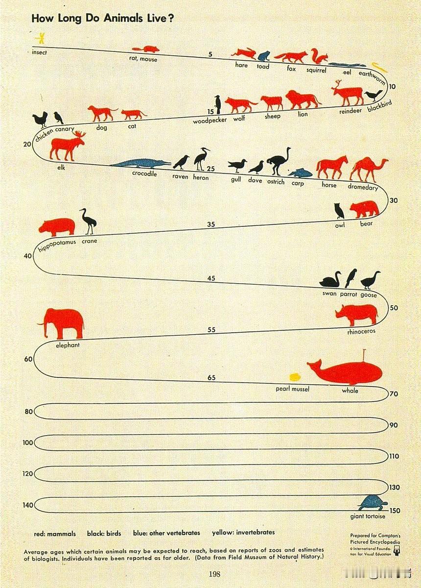 《动物寿命有多长？》出自1943年出版的《康普顿图解百科全书》，描绘了哺乳动物、