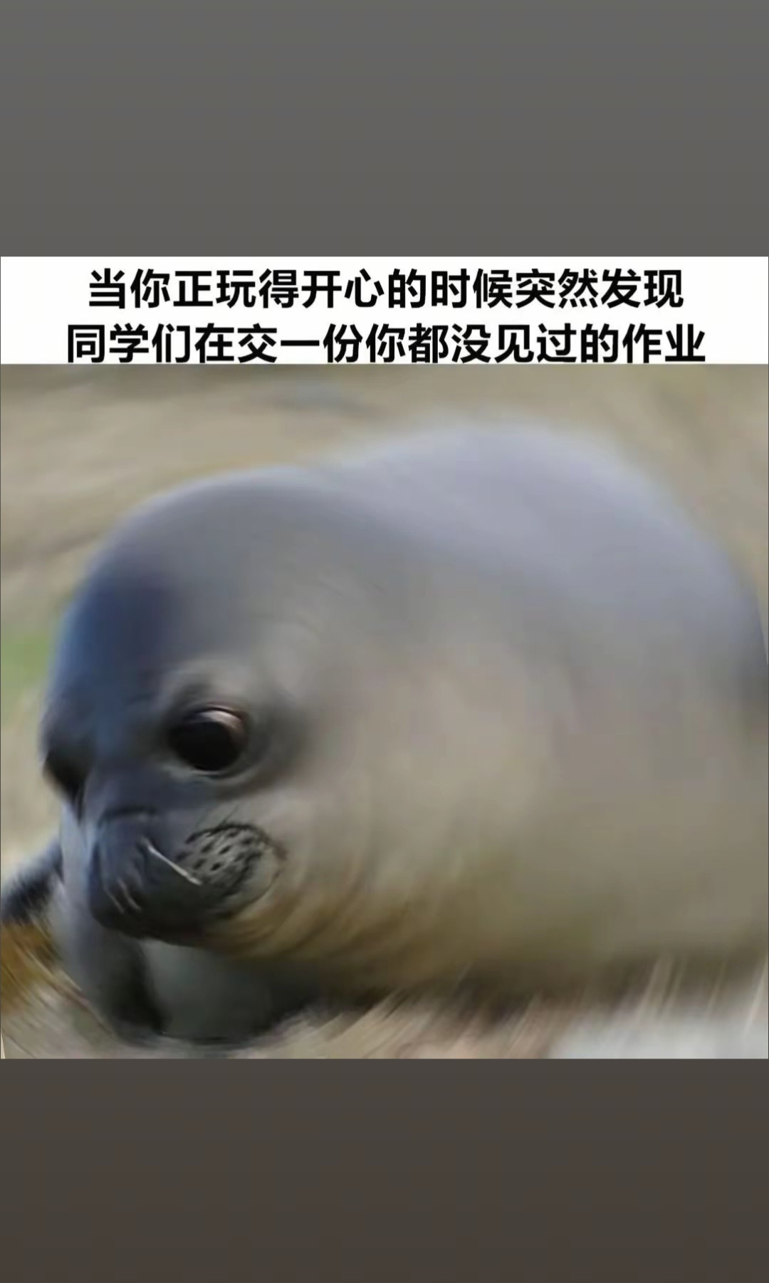 还有作业呢