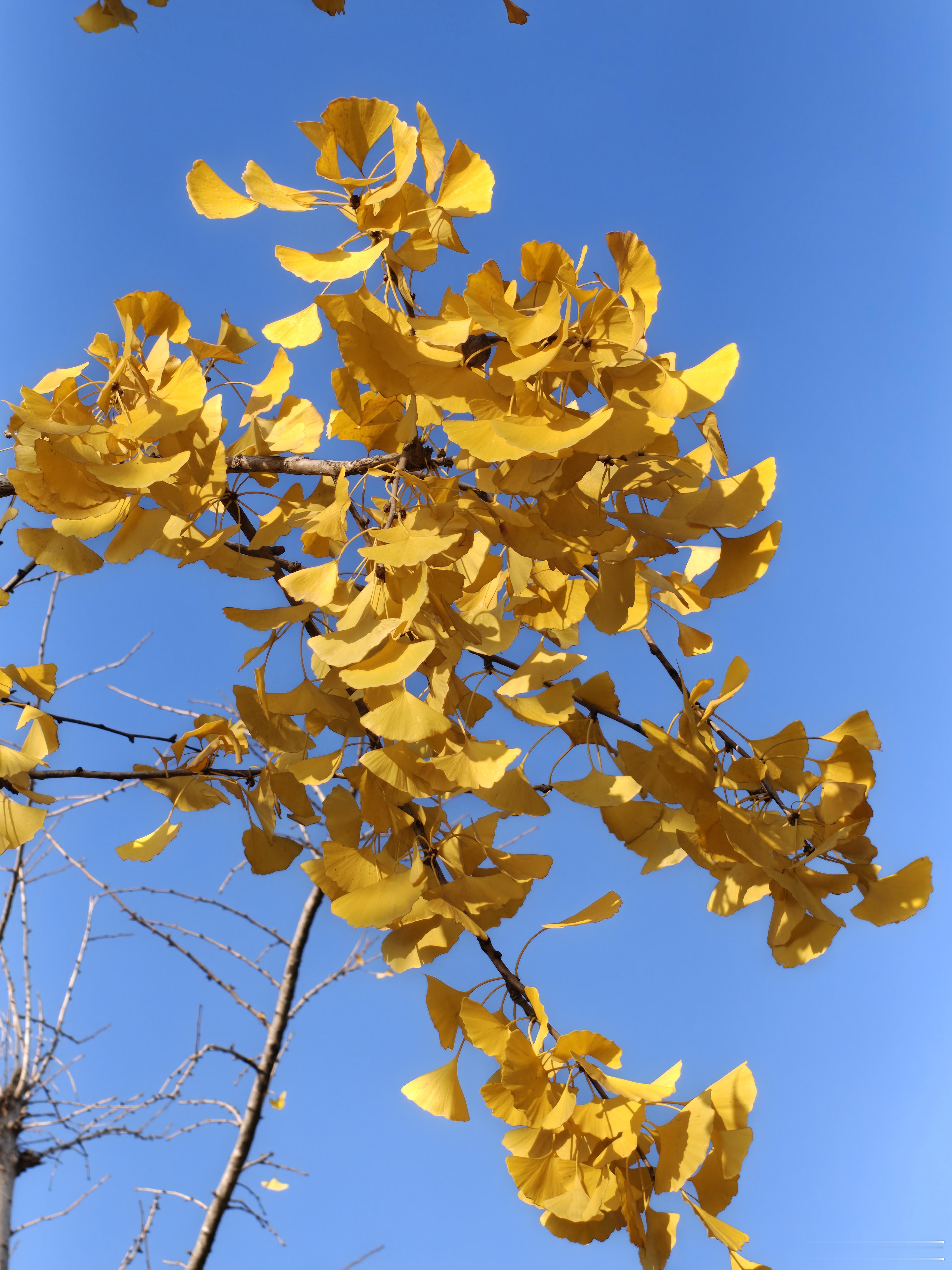 抵达杭州，今晚给大家直播一加Ace6T，这款性能旗舰续航无与伦比的强，不需要定语