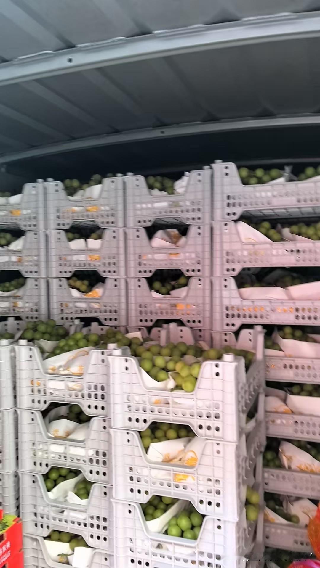 楼下新开了一家水果蔬菜生鲜超市，开业福利一箱晴王9.9元，我妈觉得划算，于是也捧