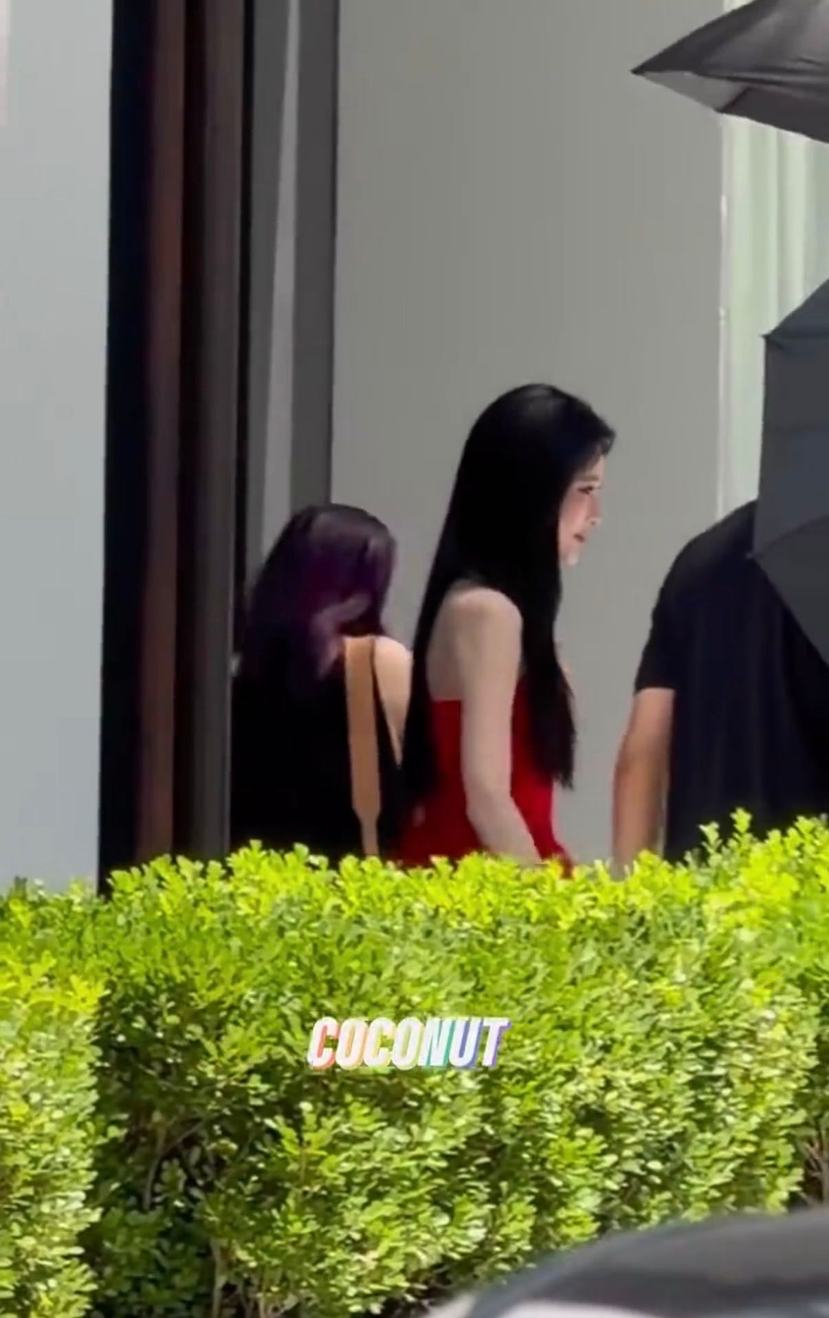 孟子义上了我给她报的网课浓颜美人孟子义可塑性太强，红裙造型放大自身妩媚气质，氛围
