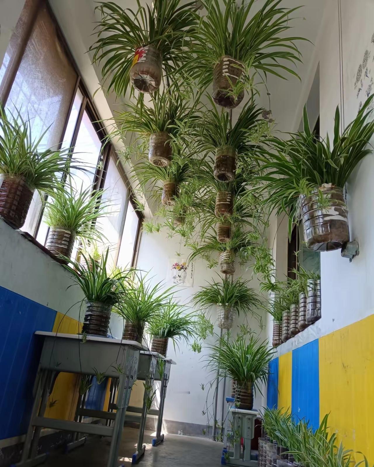 我开始怀疑养生了！我爷爷今年94岁，奶奶92岁。如今两人生活自理，没去任何一个