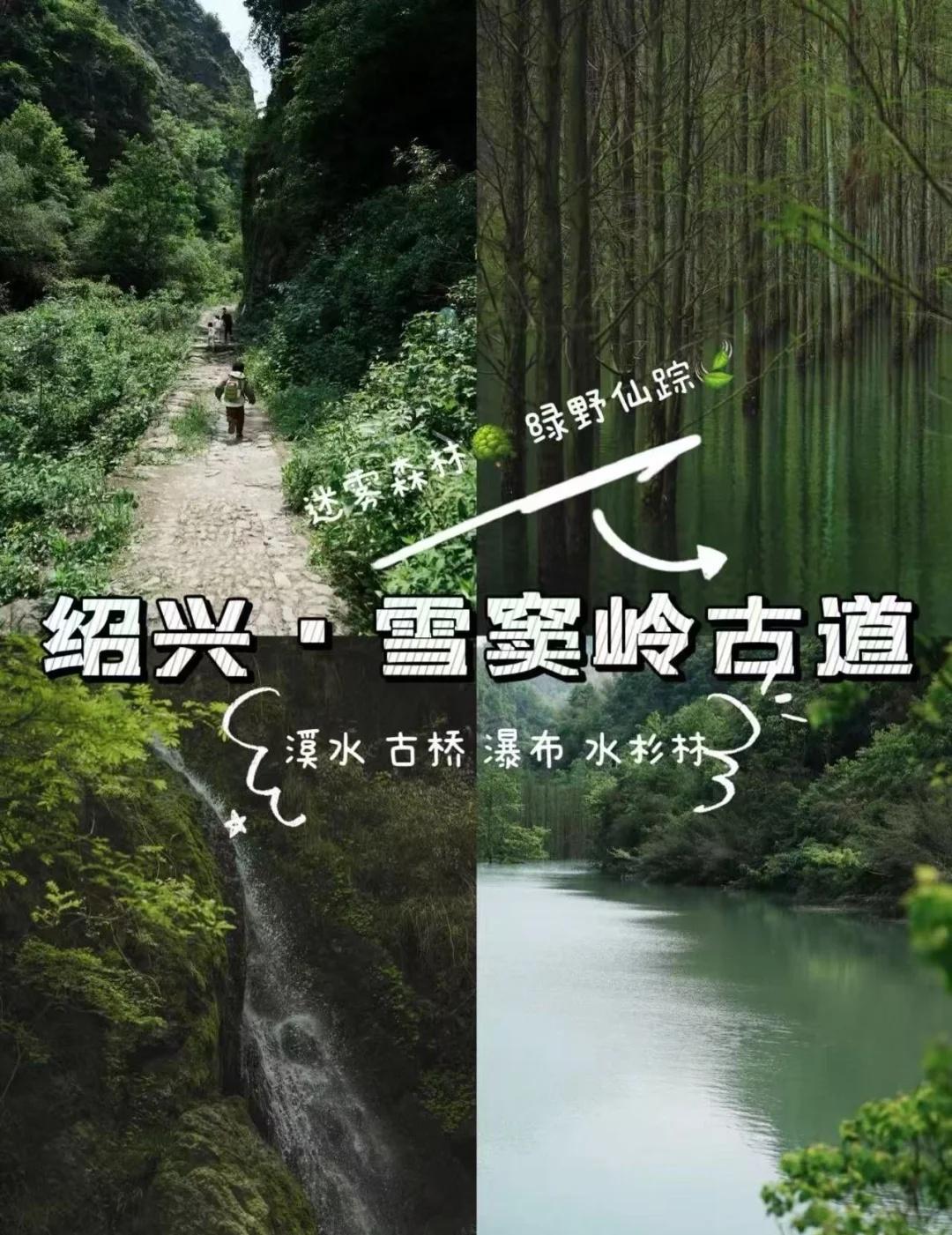 上海出发|11.1绍兴·雪窦岭古道迷雾森林上海户外运动社群【北岸青年】徒