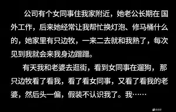 真聪明，不亏是边牧…