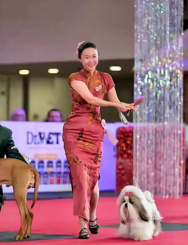 霍思燕携爱犬参加国际比赛获得全场总冠军，杜江自豪发文霍思燕家“顶流”赢了！