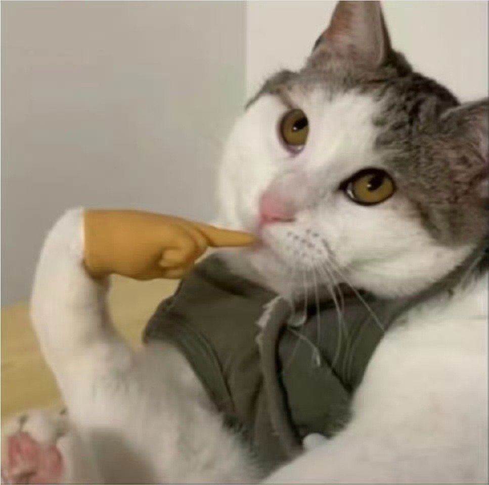 过年用哪个比较好呢再等个譞吧的