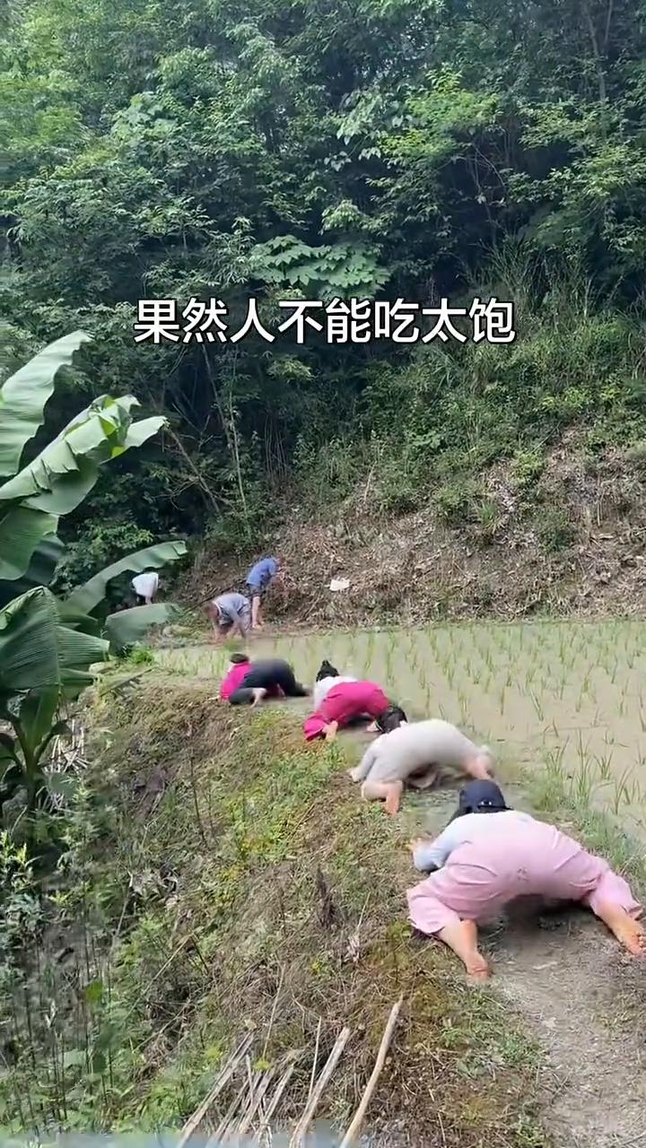 果然人不能吃太饱。
