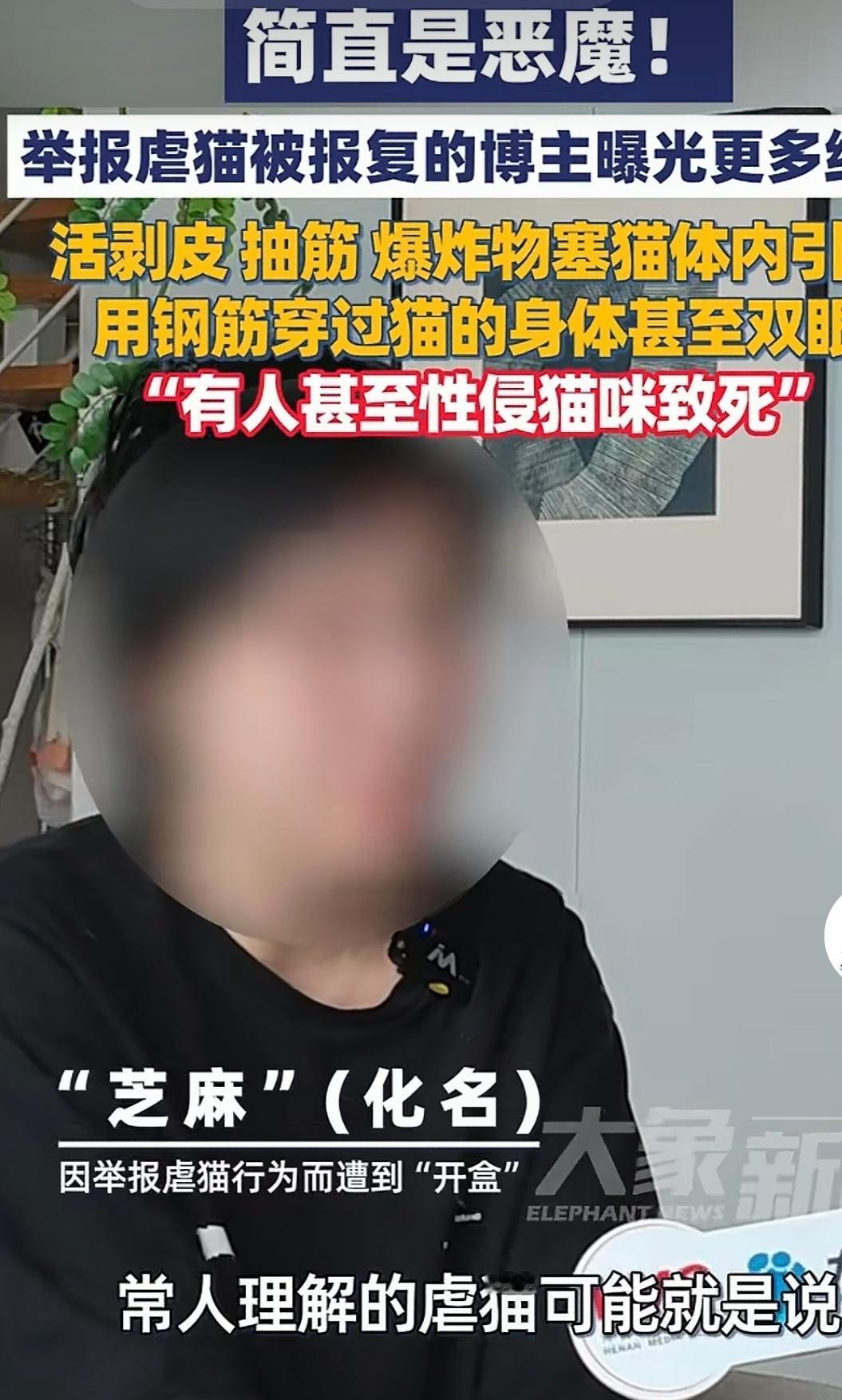 “简直是恶魔在人间，”上海，一女子举报一伙人虐待流浪猫，手段极其残忍，不但活剥皮