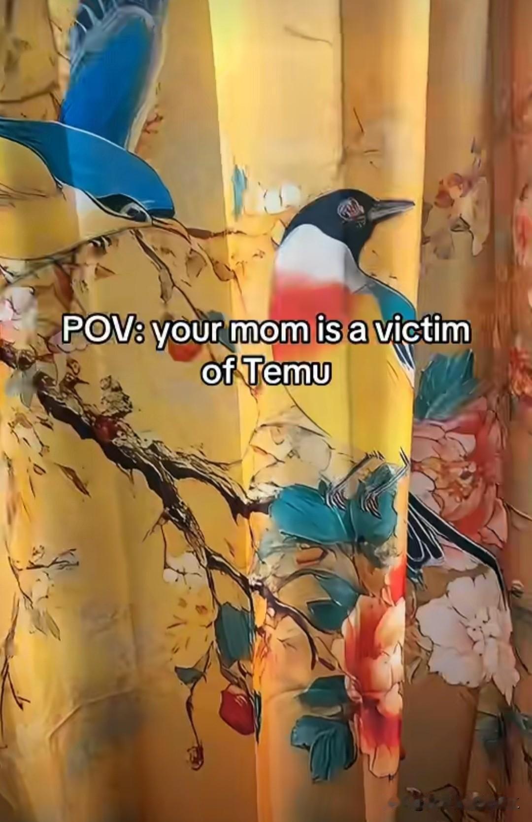 俄罗斯网友吐槽他妈妈沉迷在中国网站购物后，家里就变了……