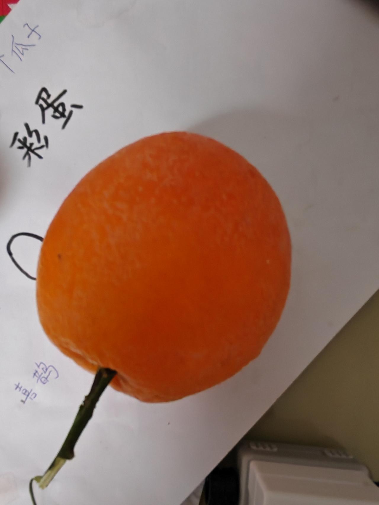 就因为100元钱，我把在我家住了10年的岳母送回了家！这两天女儿回家过周末，今