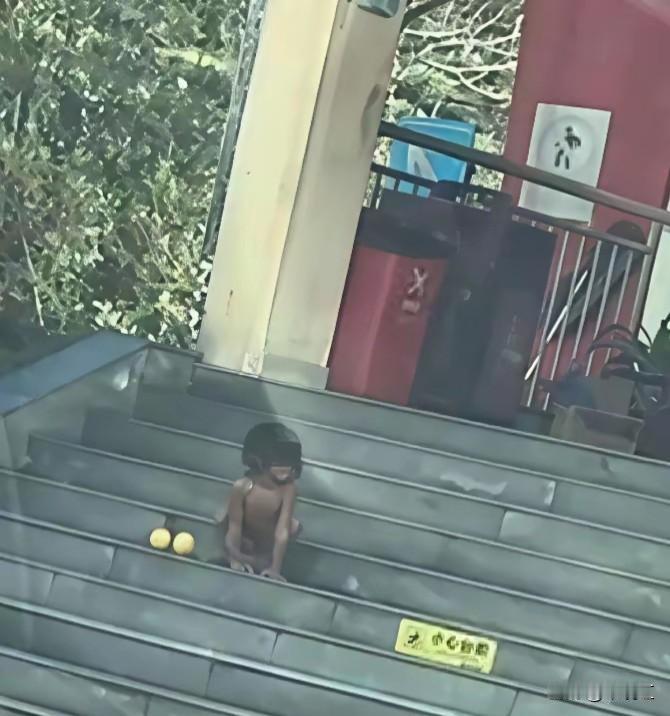 3岁“野人小孩”与狗同食，高学历父母“自然教育”震惊全网！官方介入调查在四川