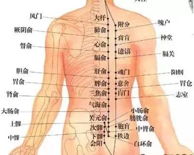刮痧: 排除人体存在的寒气, 无病一身轻!
