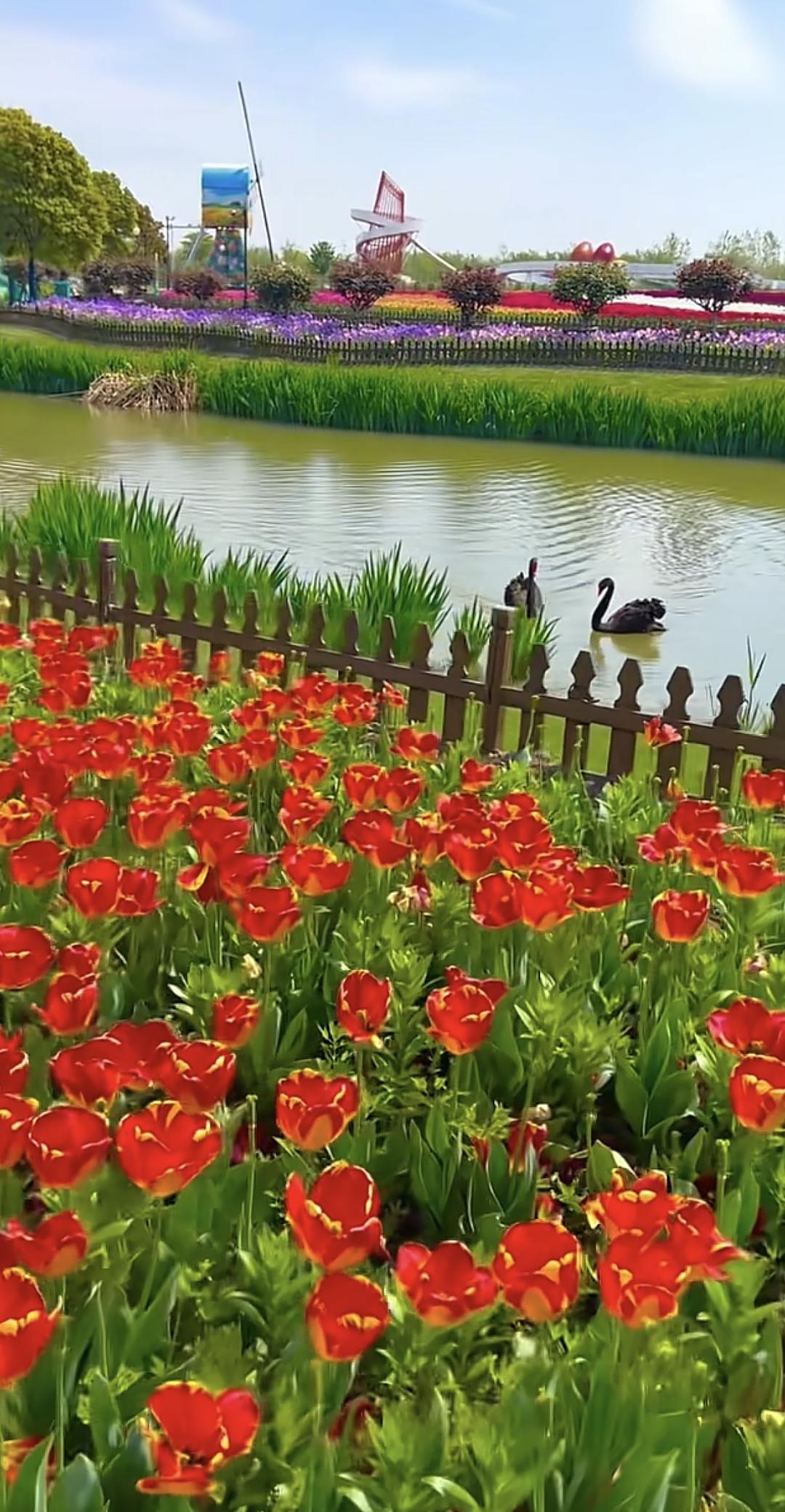 出发看山看海看花海，最美的风景都在路上。☘️花海风景一起来赏花看景