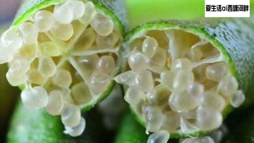 16736748538385956383.jpg?id=0