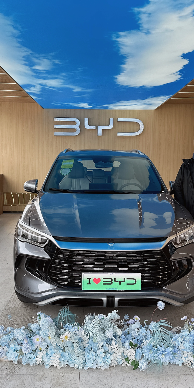 拿下宋pro卓越110km2.5号买的开了半个月之前开油车现在变成