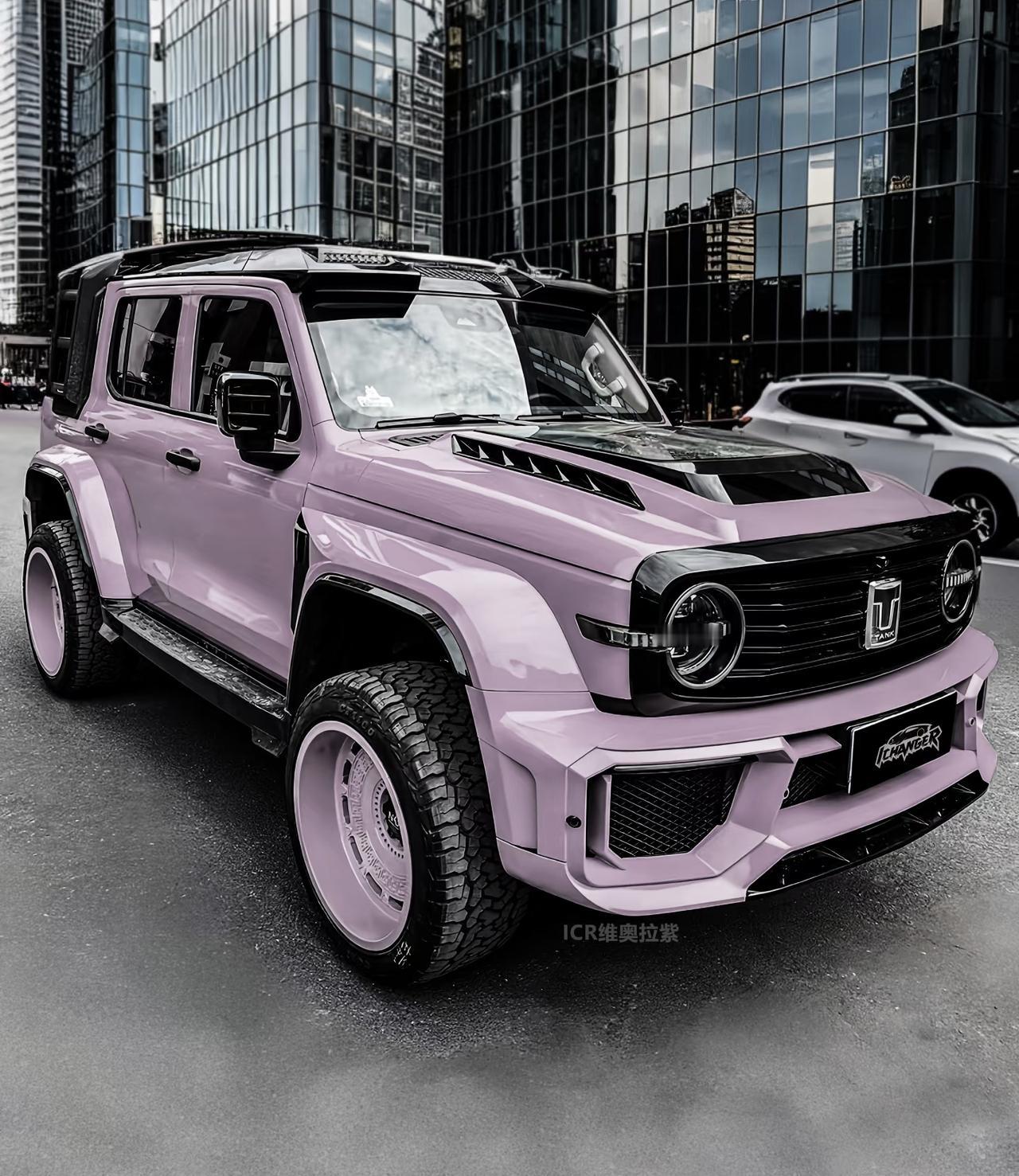 这坦克300一看就是女孩子开的[笑着哭]